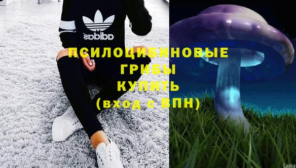 экстази Алексеевка